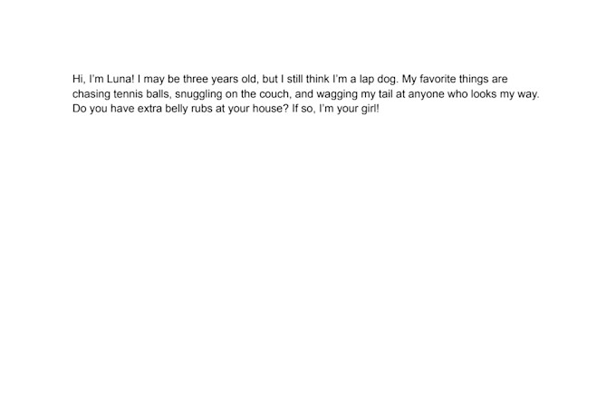 write a fun and heartwarming pet adoption bio